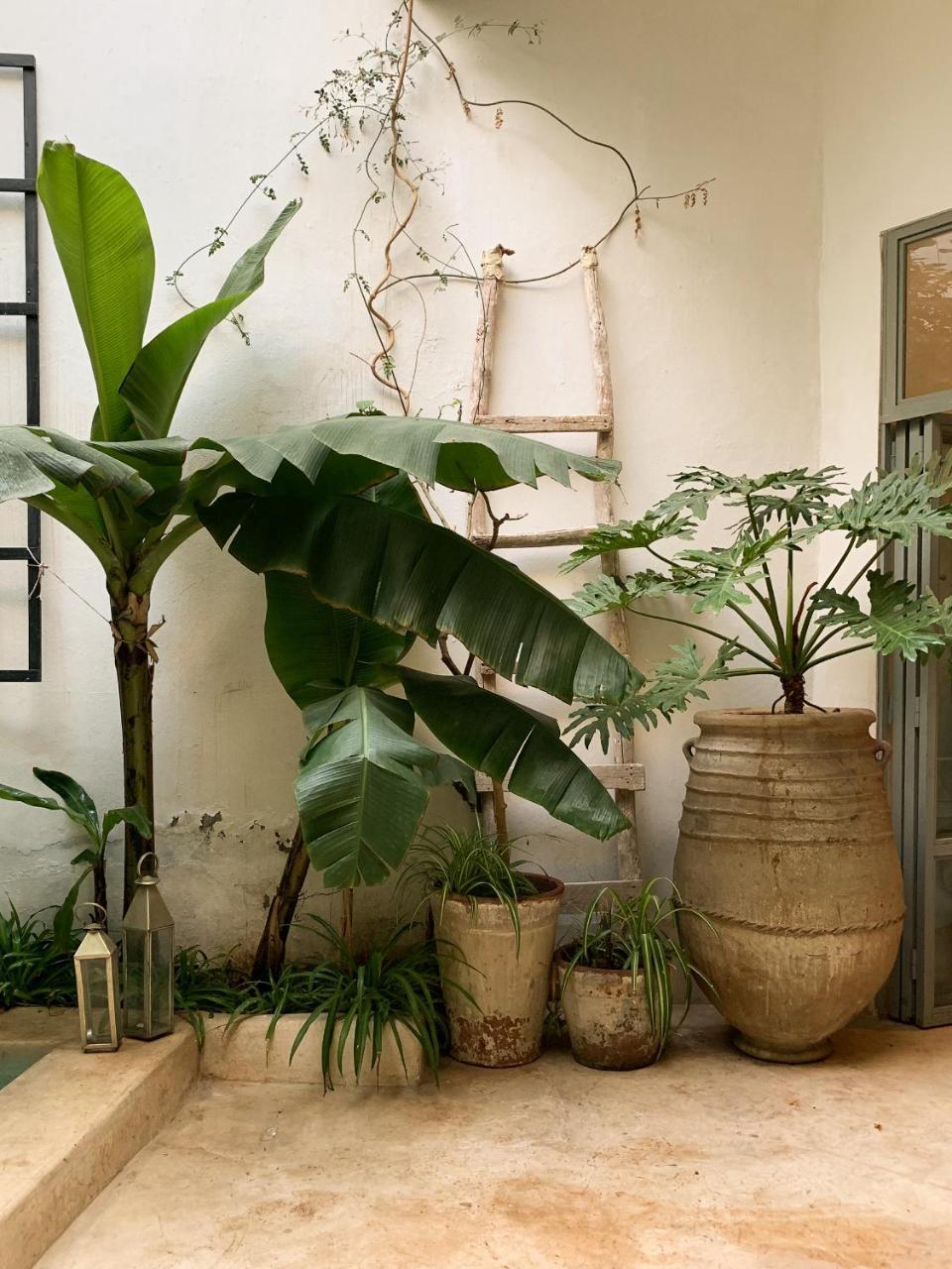 Housing Marrakech Chez Rachid Guest house Marrakesh