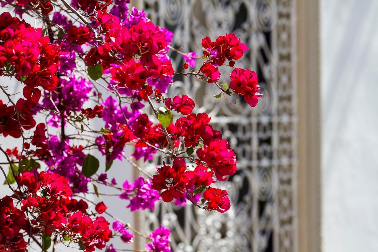 Riad Clementine