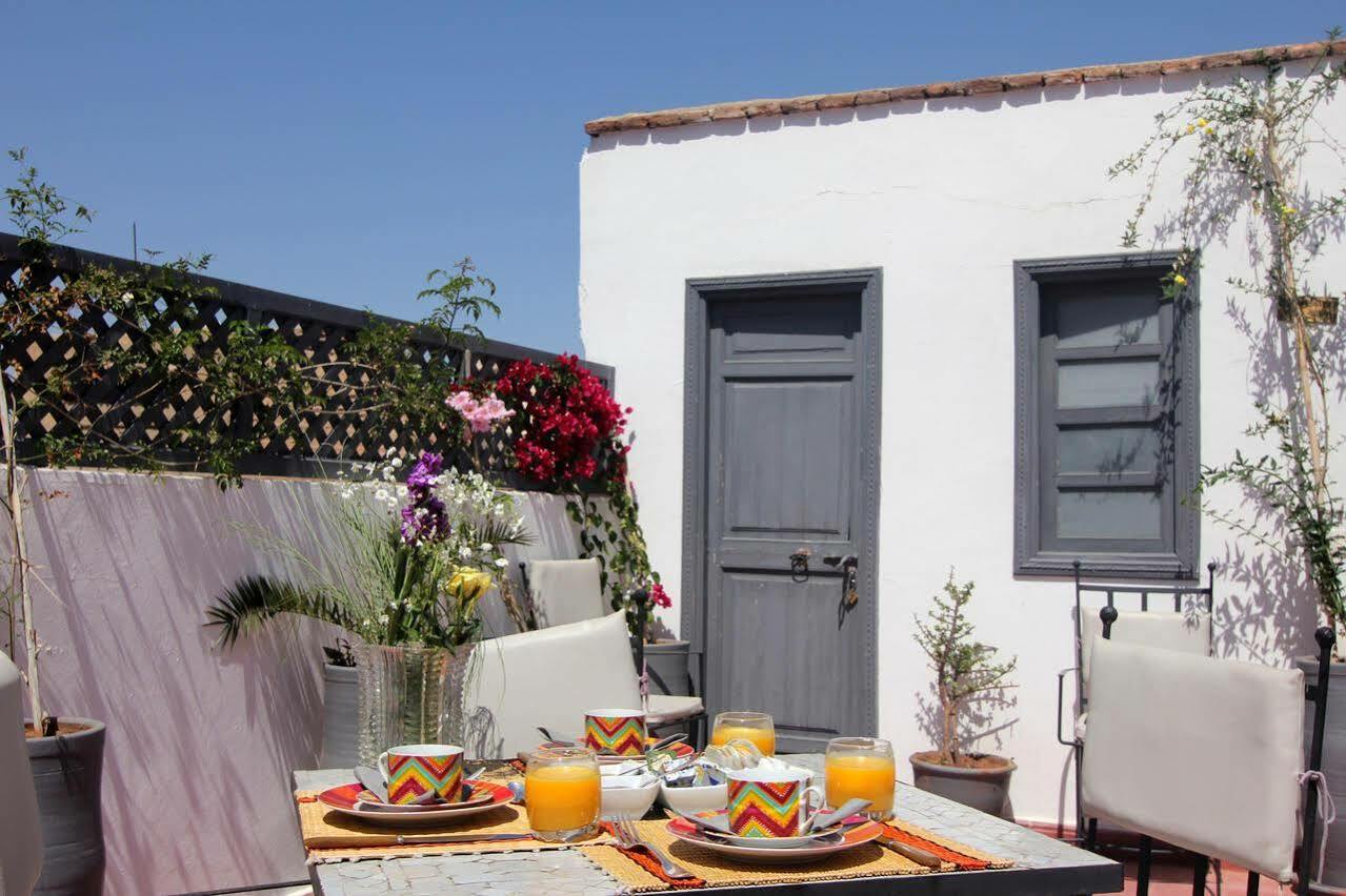 Bougainvillea Marrakesh