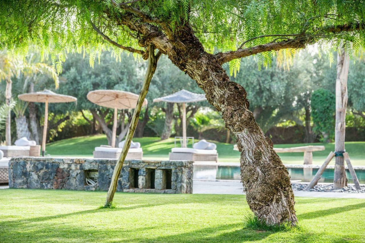 Villa Zagora And Marhba Marrakech - By Emerald