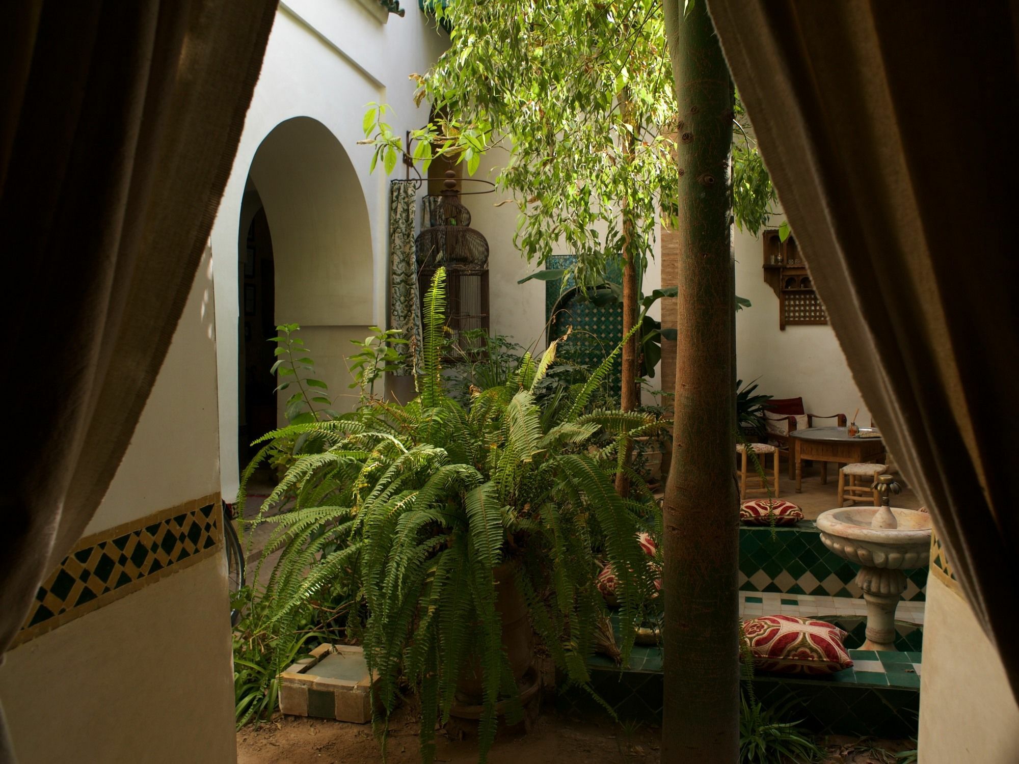 Dar Kleta 3*
