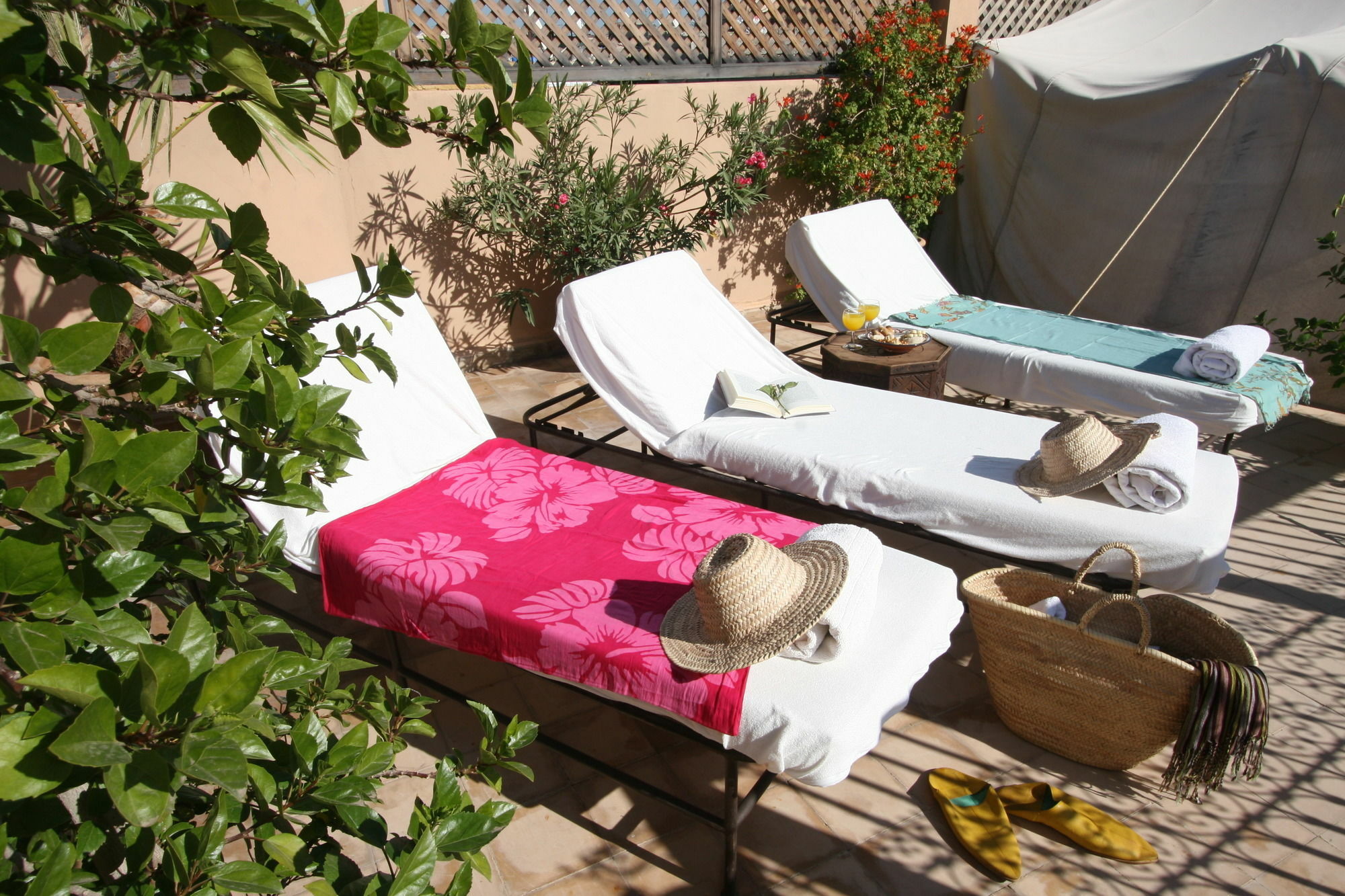 Elixir Riad 3*
