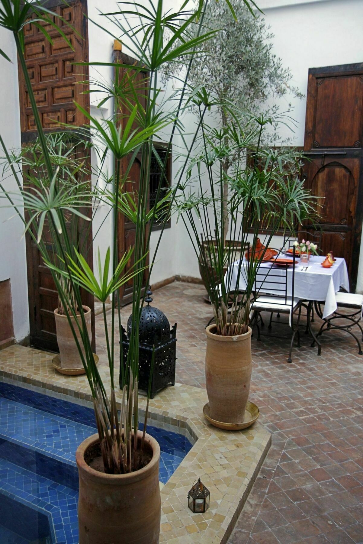 Riad Elixir Marrakesh