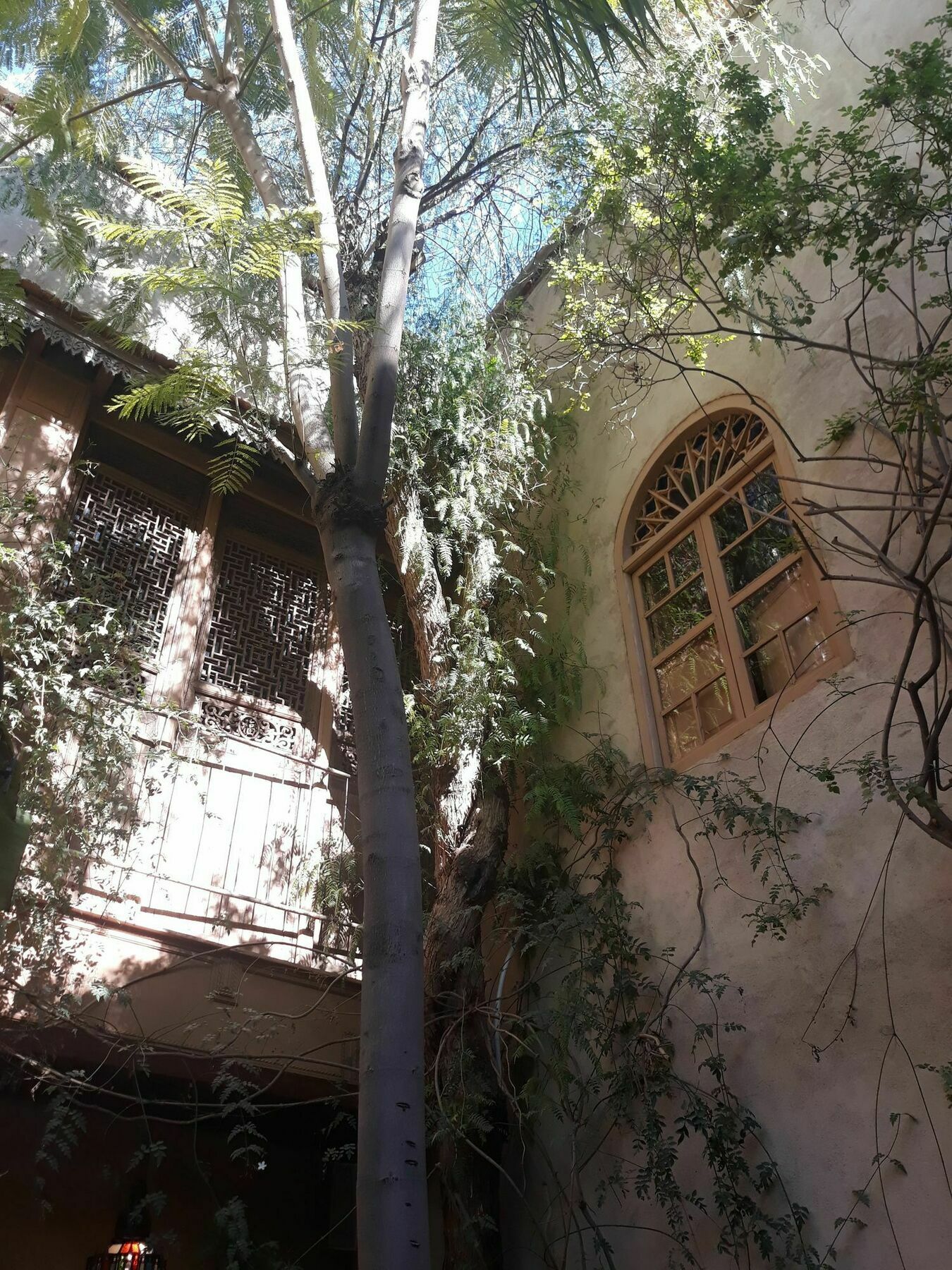 Kbour & Chou Marrakesh