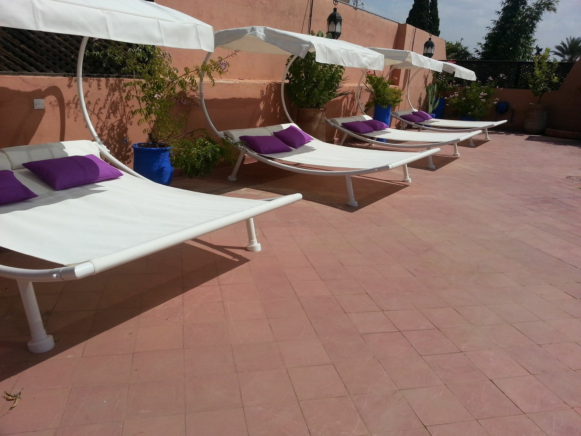 Amira & 4*