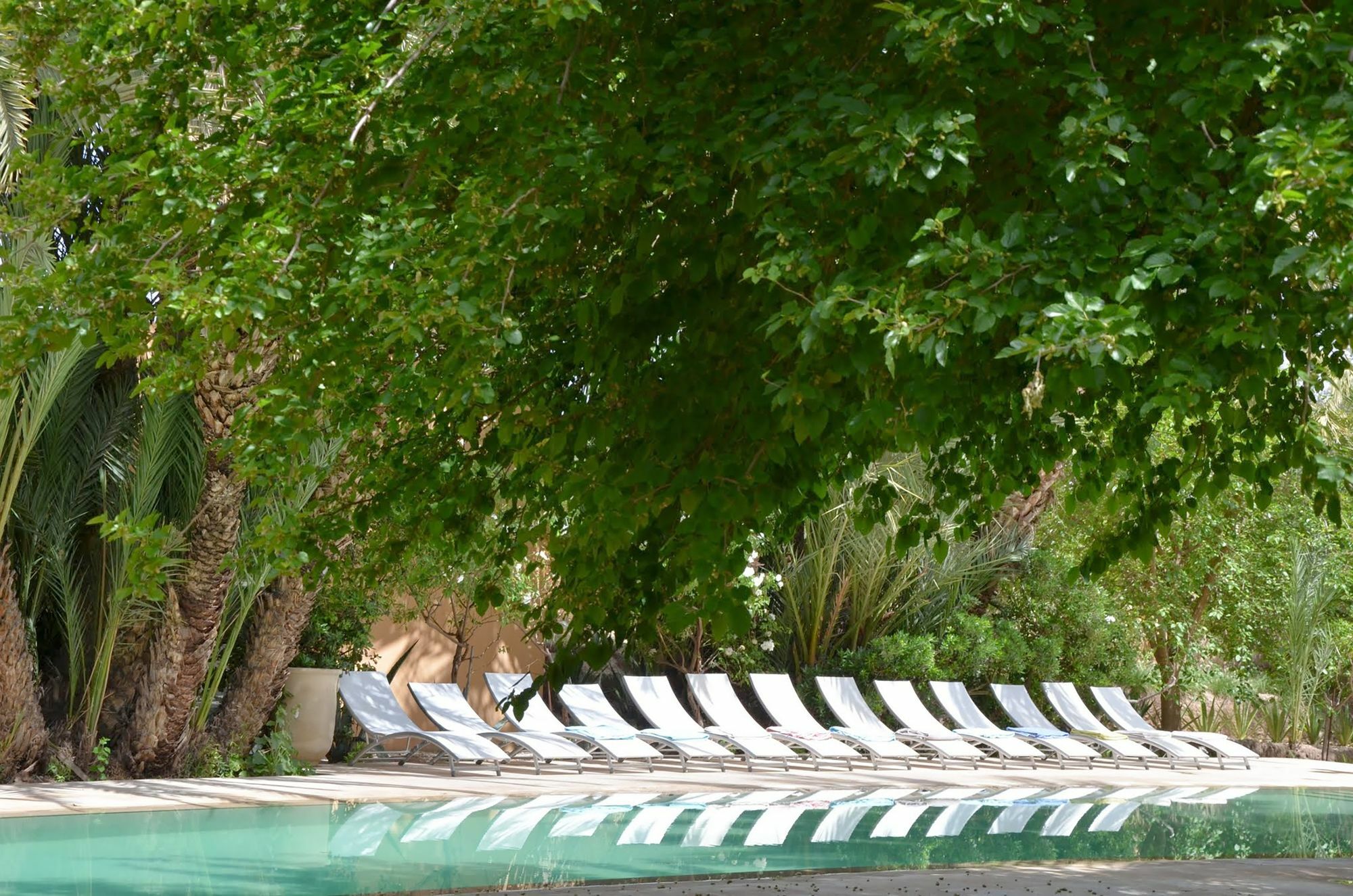 Jnane Tamsna 3* Marrakesh