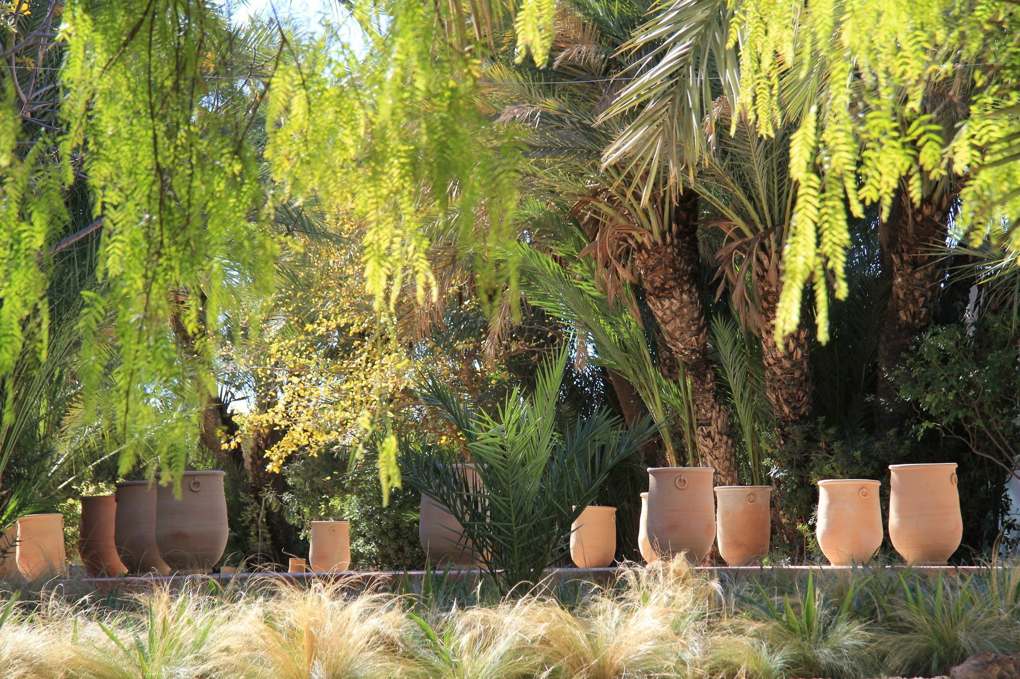 Jnane Tamsna Pensión Marrakesh