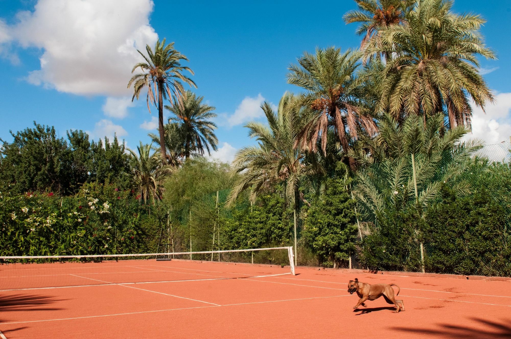 Maison d'hôtes Jnane Tamsna Marrakesh