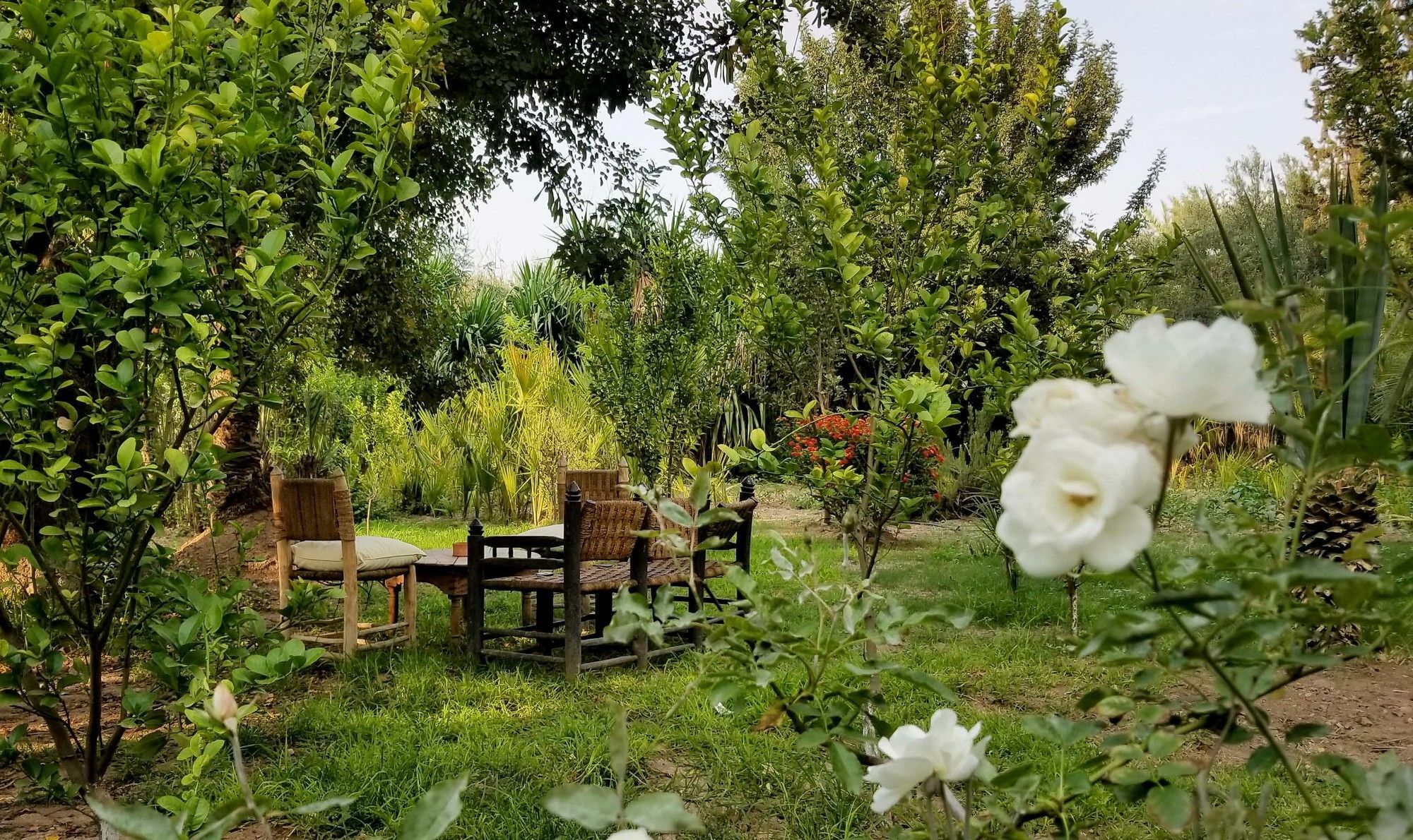 Guest house House