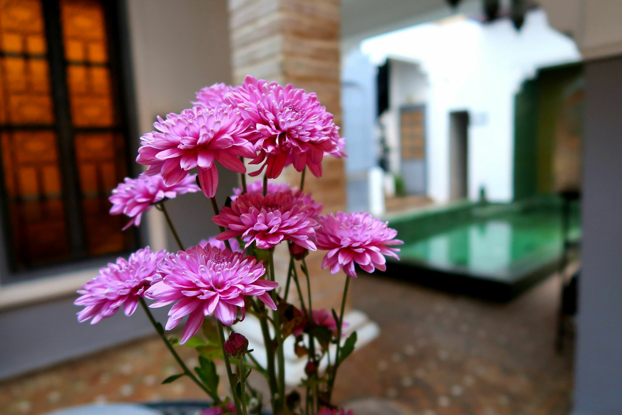 Riad Les Jardins De Mouassine Marrakesh