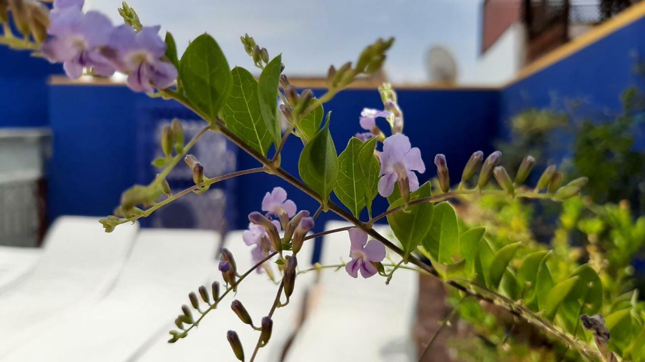 La Porte Des 5 Jardins Riad 3*