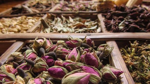 Safae Hébergement de vacances Marrakesh