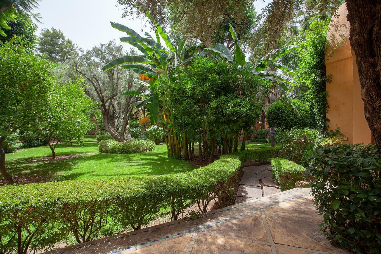 Avirona Marrakesh