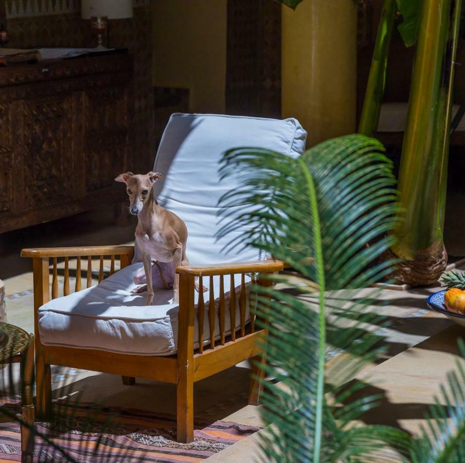 Azoulay Riad 4*