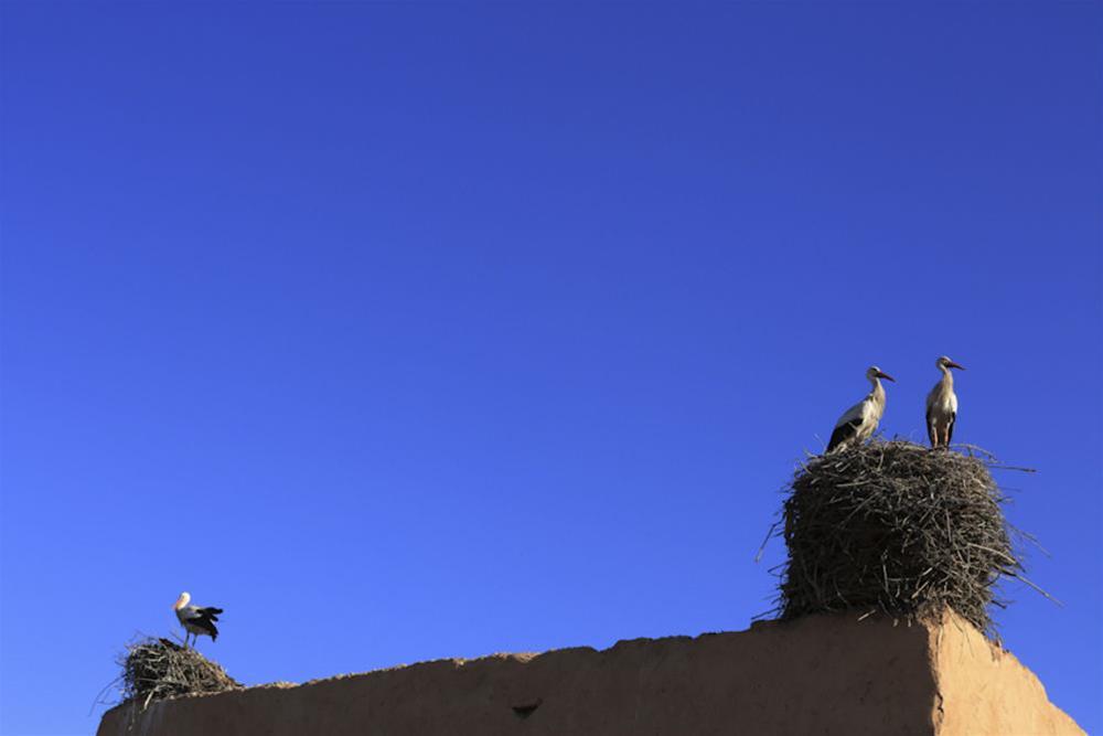 Aladdin 4* Marrakesh