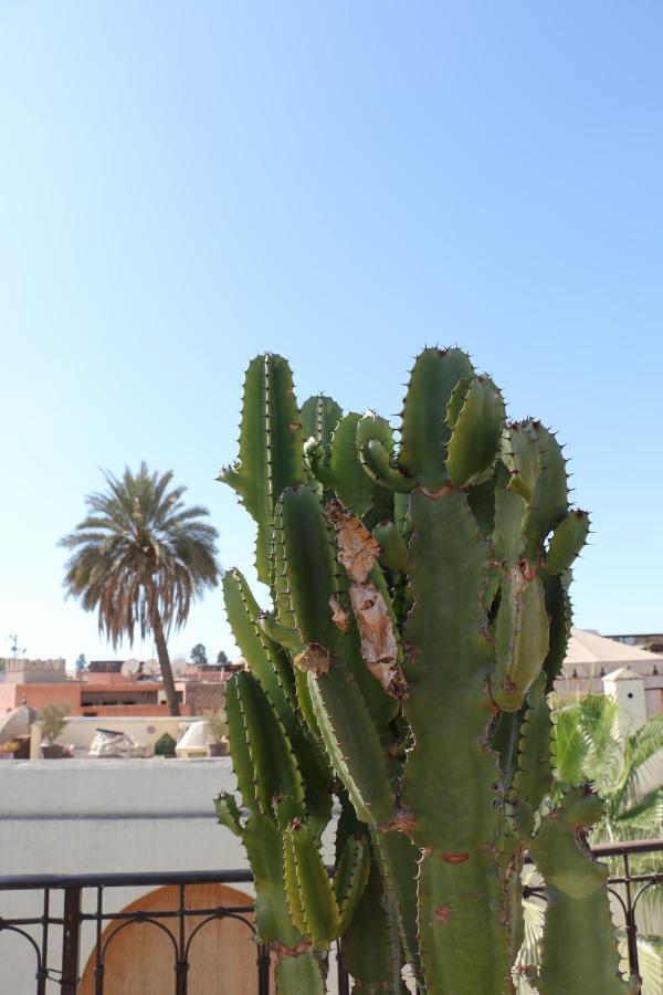 Riad Riad Chergui 4*