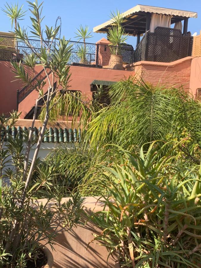 Ghali & Marrakesh