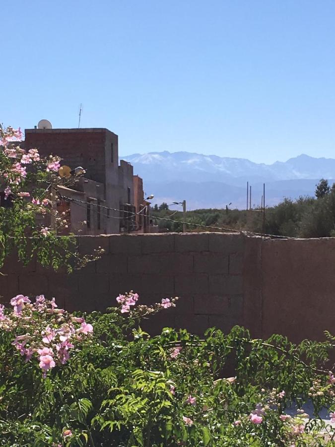 Terracota Marrakesh