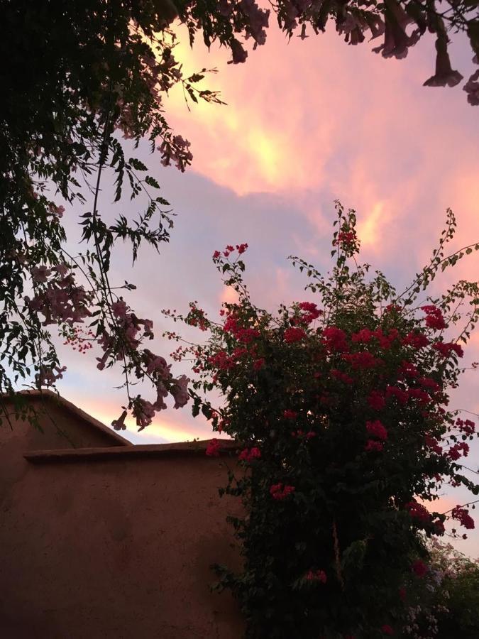 Riad Terracota