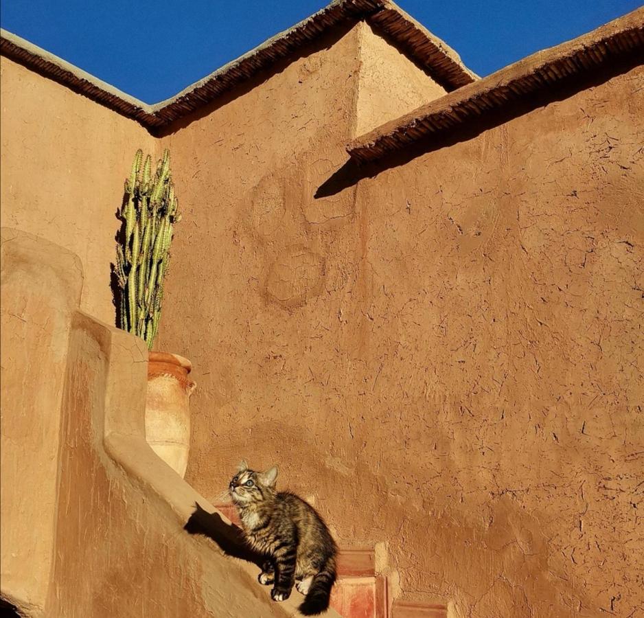 Riad Terracota
