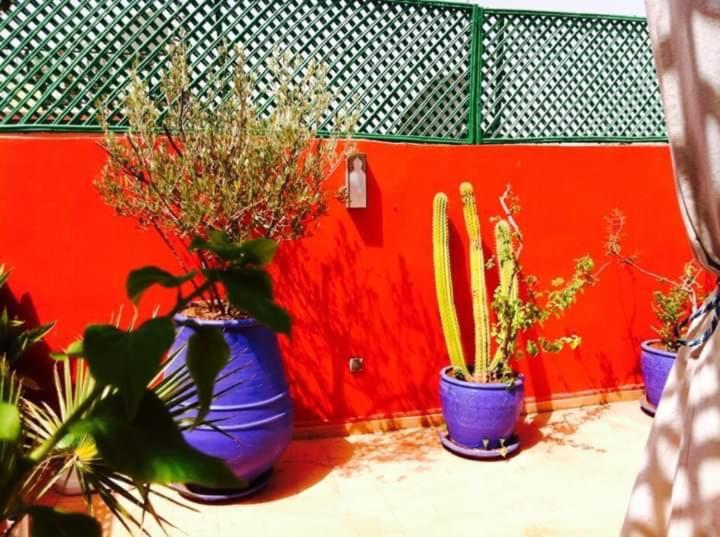 Riad Kalinka Lotus Marrakesh
