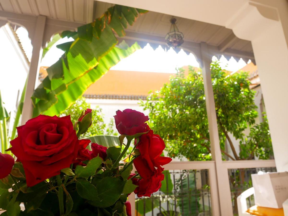 Dar Aman Riad
