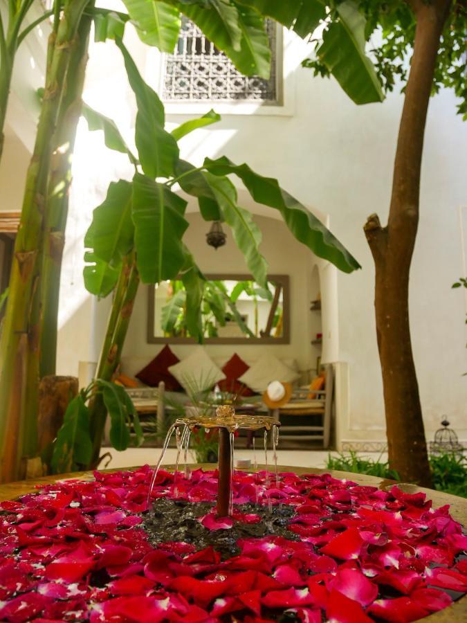 Riad Dar Aman