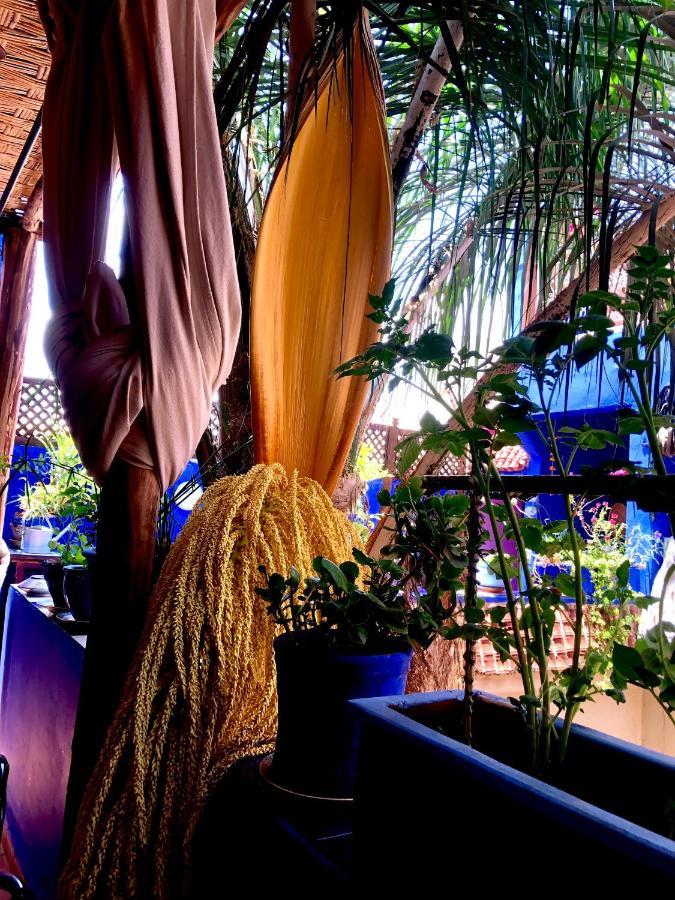 Riad Alamine