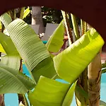 Les Jardins De La Medina