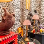 Riad Tibibt