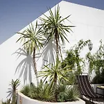 Riad El Aaiun