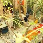 Riad Les Jardins De Kesali