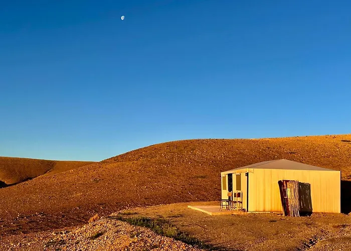 Camp Cameleon