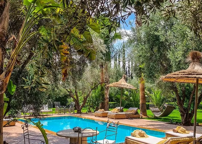 Pashmina Marrakech\'S 16Km Escape