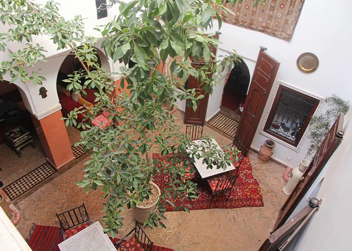 Riad Tizgui Celine