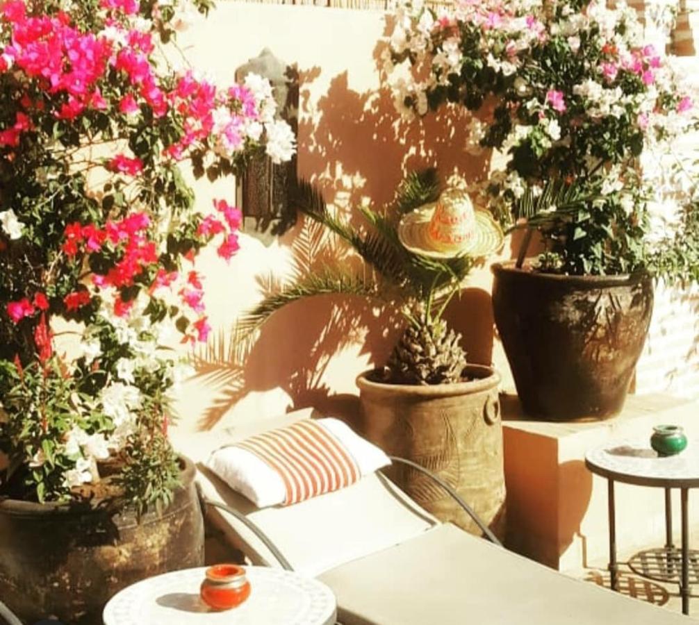 Adriana Riad Marrakesh
