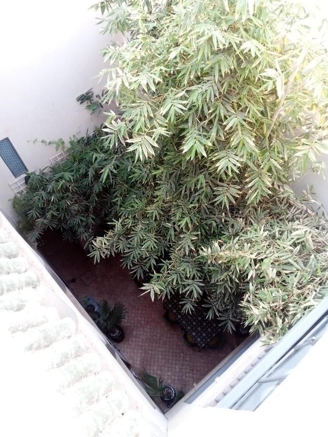 Riad103 Piscine Rooftop, Jacuzzi&hammam Riad *