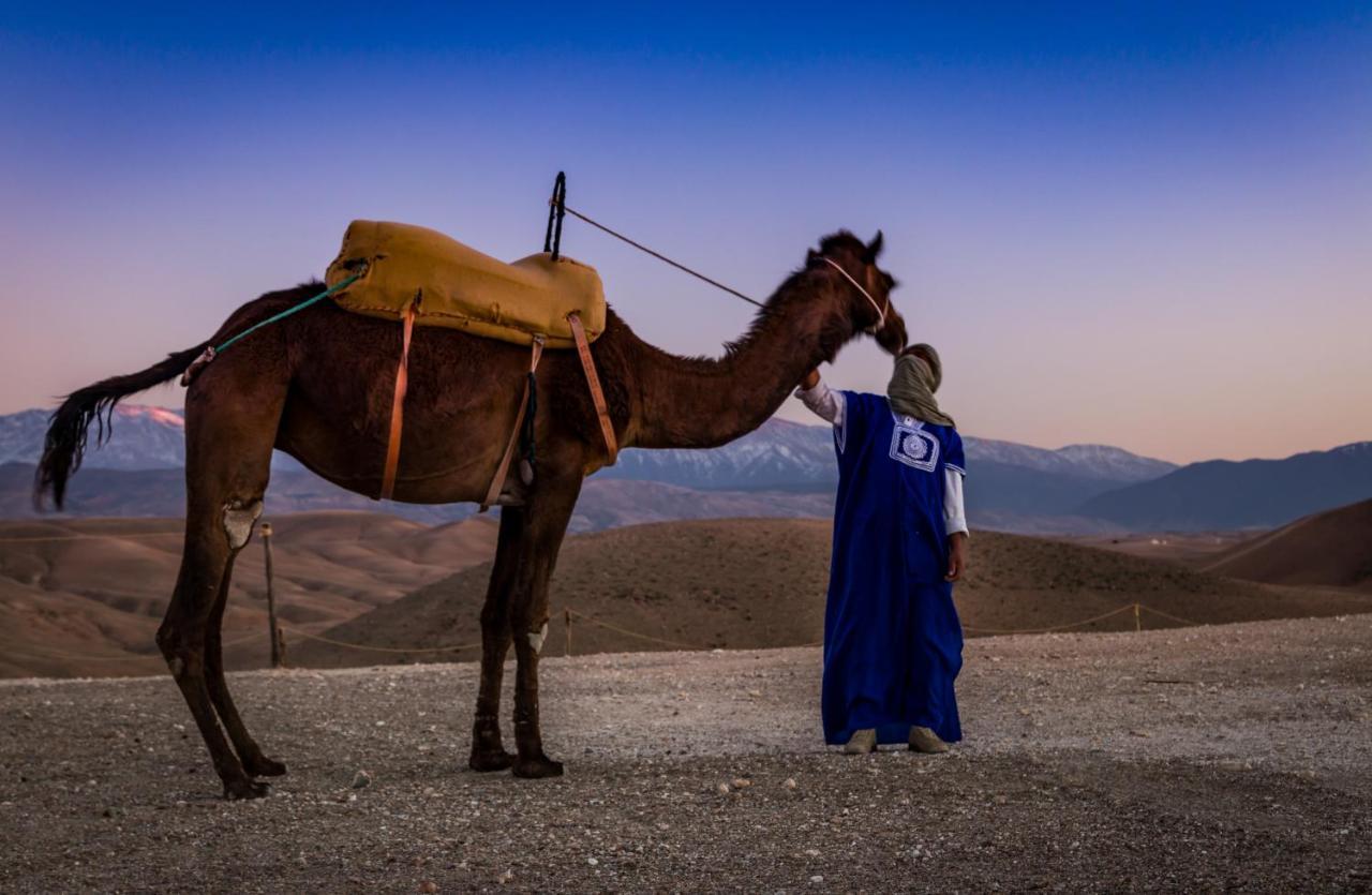 Luxuszelt Camp Cameleon Marrakesch