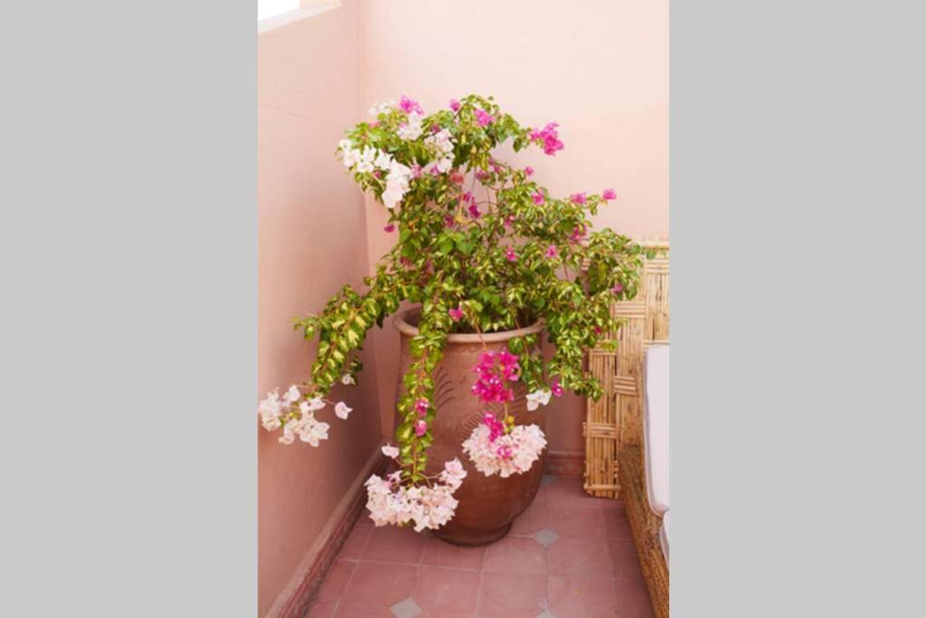 Maison Prive Dar Rosa