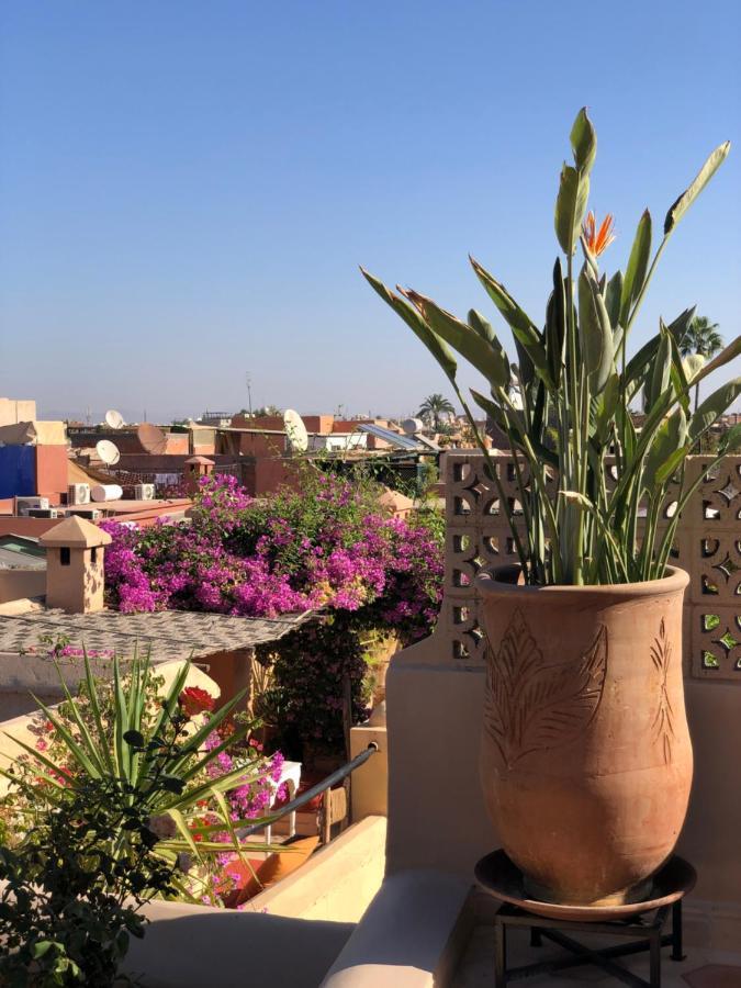 Les Figuiers De Marrakech Hébergement de vacances *
