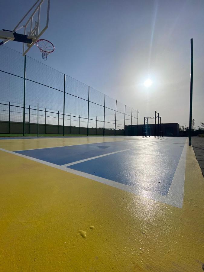 Dali Avec Terrains Foot,basket,cross-fit *
