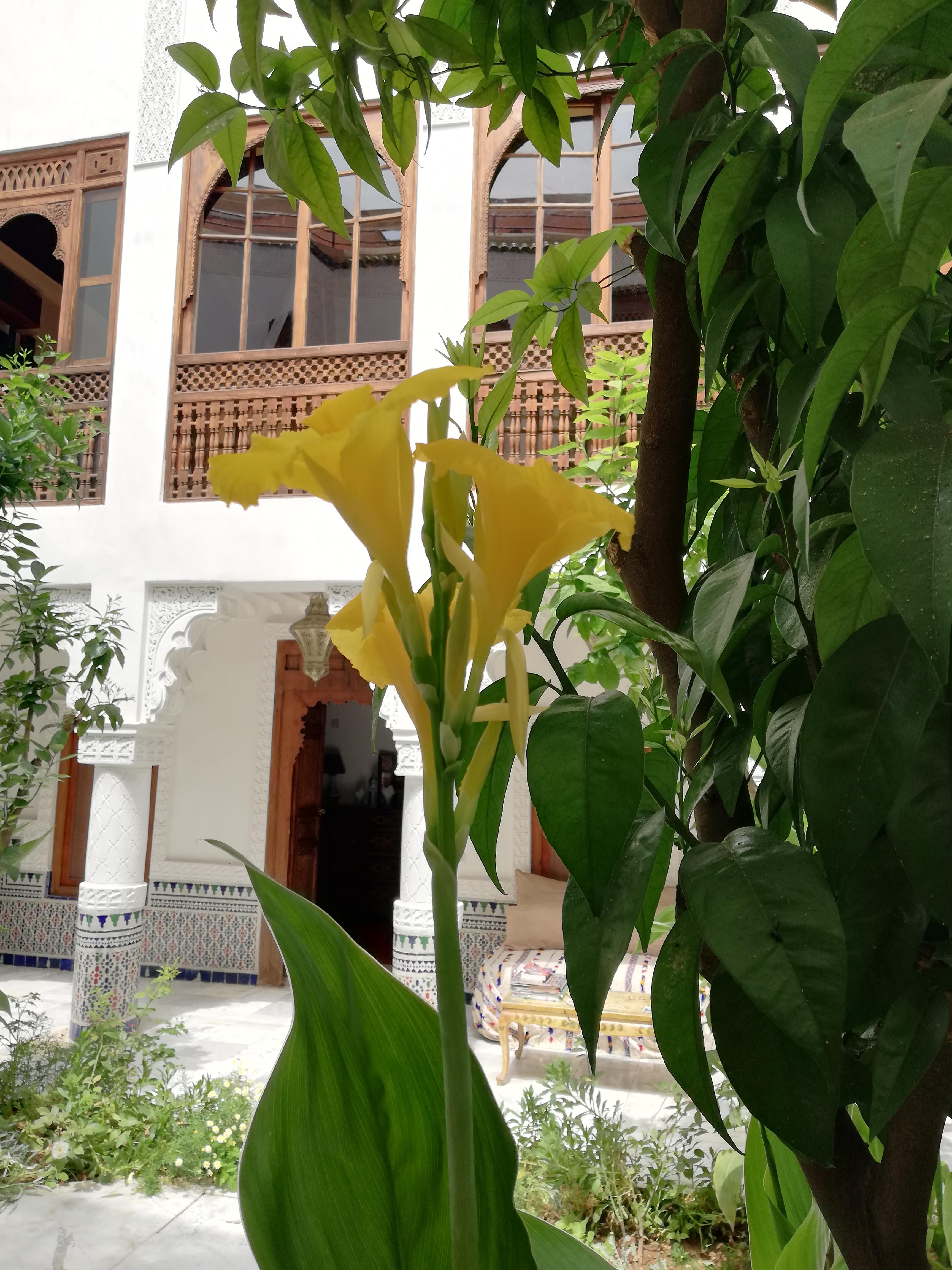Ben Youssef Riad