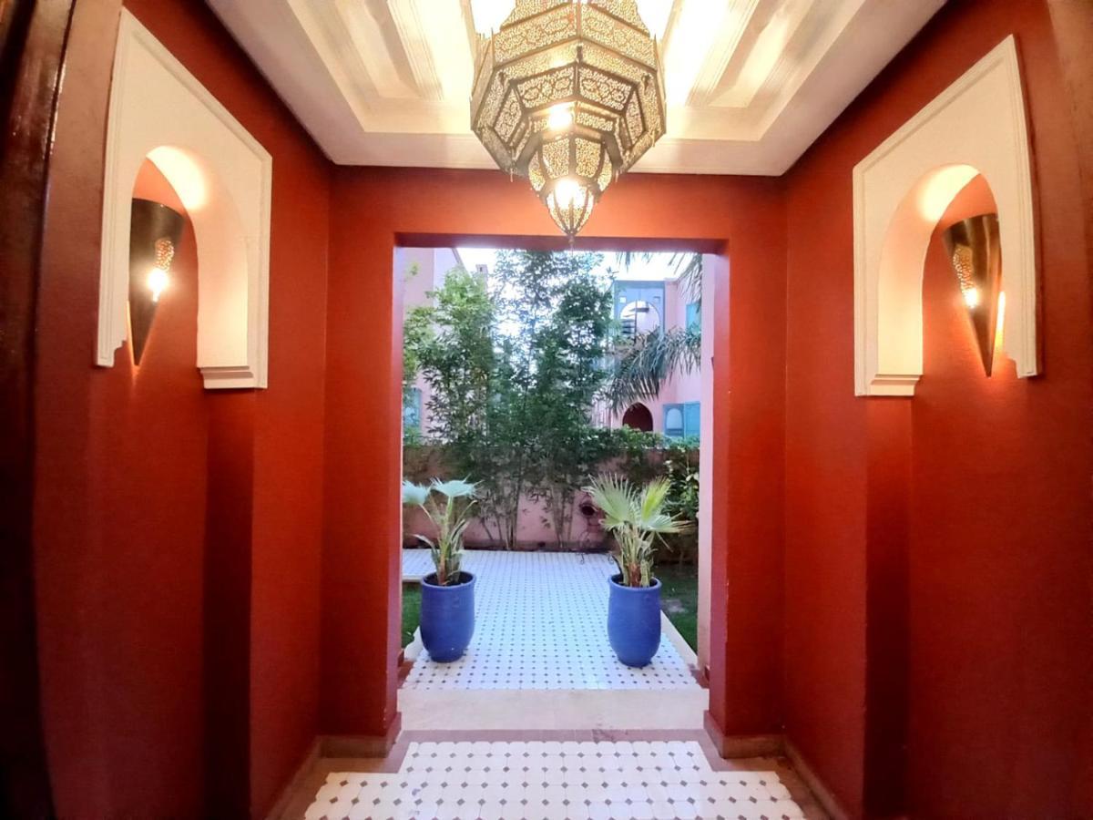 Cycas Targa Garden -only Family * Marrakesh