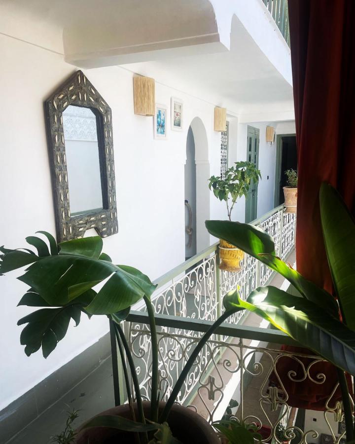 Riad Vines Marrakesh
