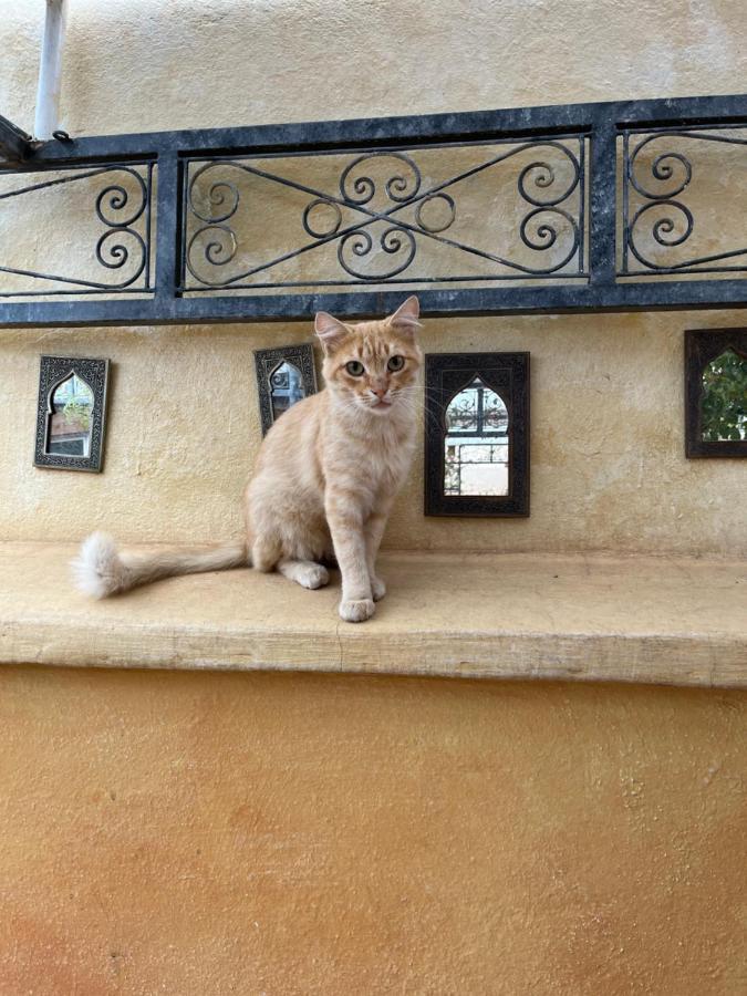Al Ibtikar Bed & Breakfast