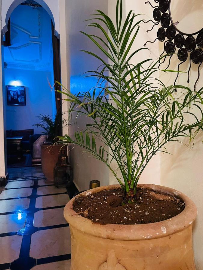 Appartement Ms Holidays Terrasse Privatise Marrakech Marrakesh