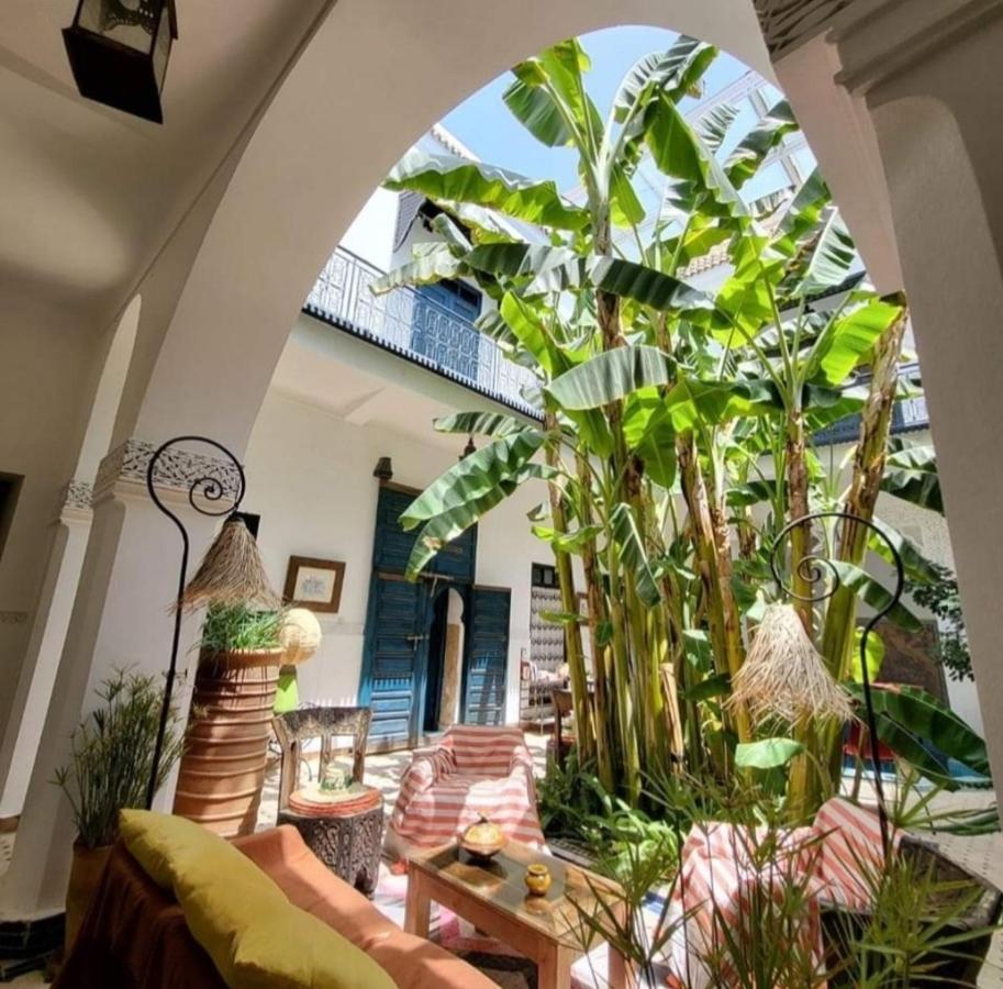 Aloes & (adults Only) Riad