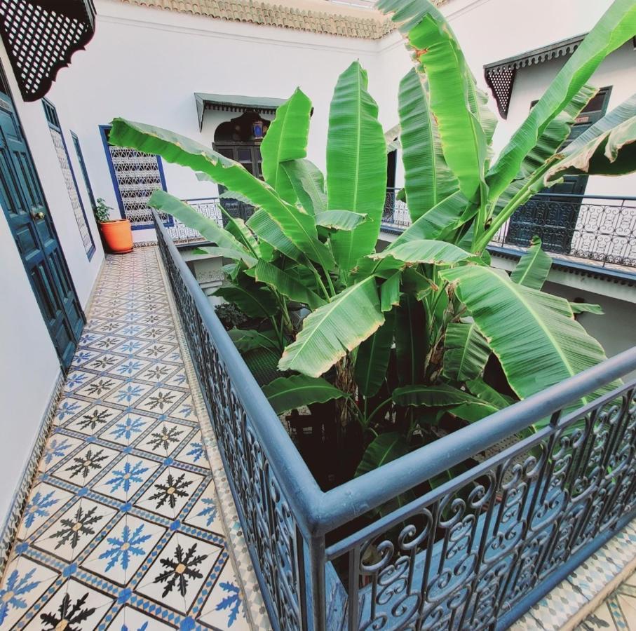 Aloes & (adults Only) Marrakesh