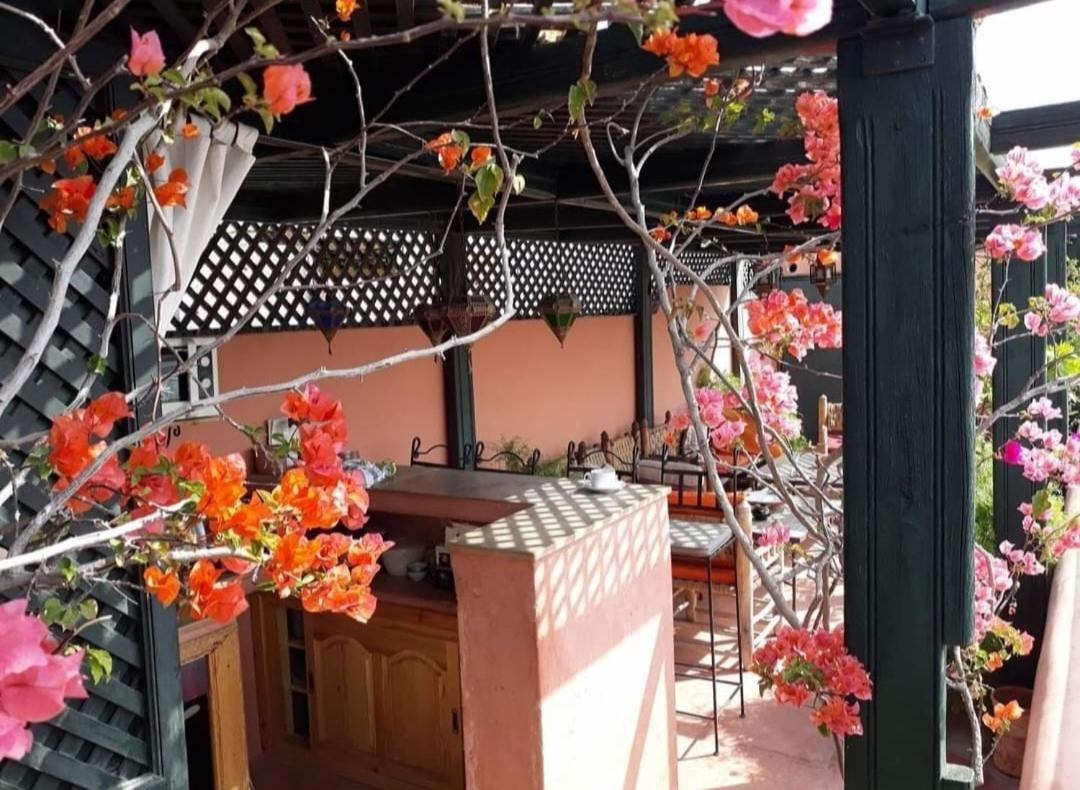 Aloes & (adults Only) 4* Marrakesh