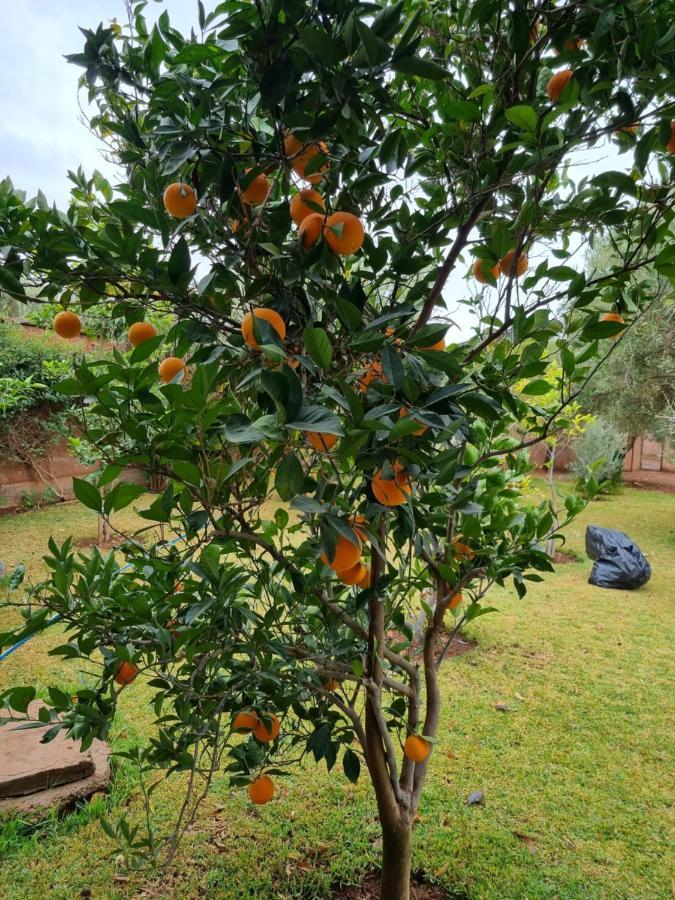 Gasthof Les Deux Citronniers Marrakesch